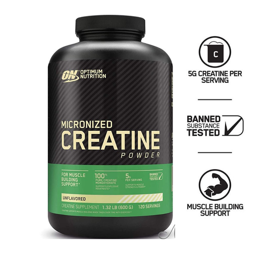 Optimum Nutrition Micronized Creatine Powder