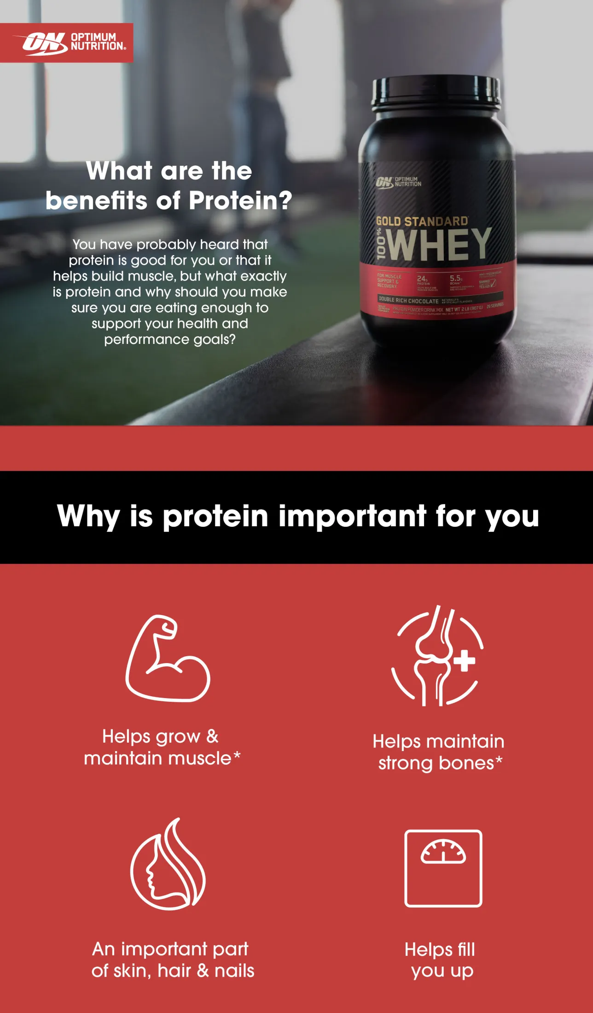Optimum Nutrition Gold Standard Whey Protein 5LB