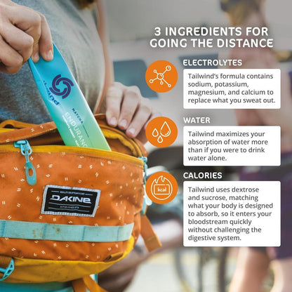 Tailwind Endurance Fuel Drink Mix 4 Sachets