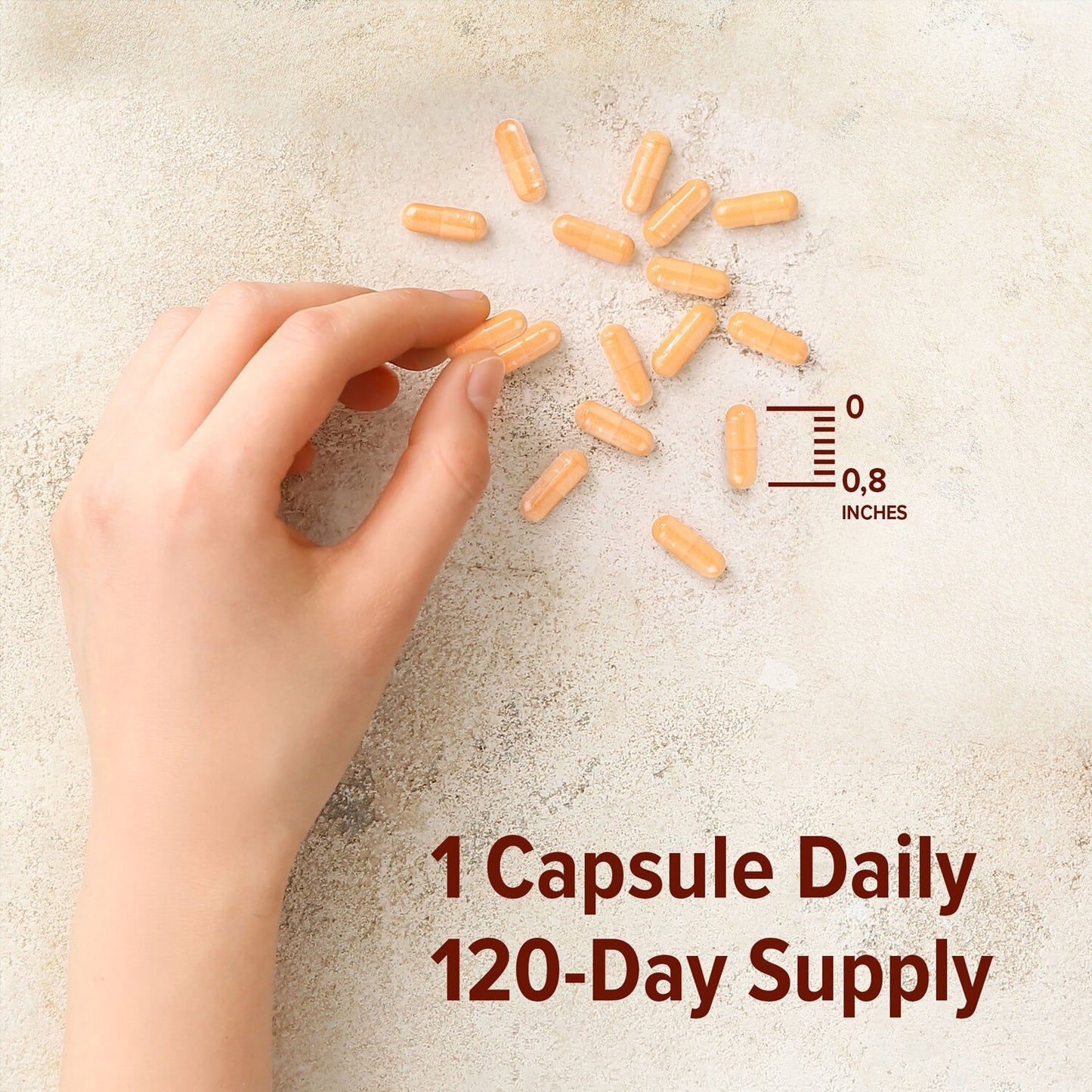 Vitamin B Complex Supplement with choline 120 Veg Capsules