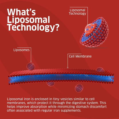 Iron Supplement Liposomal 25mg 90 Vegetable Capsules