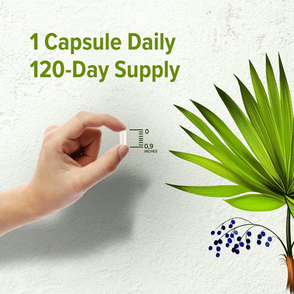 Orzax Saw Palmetto 2000 mg 120 Caps