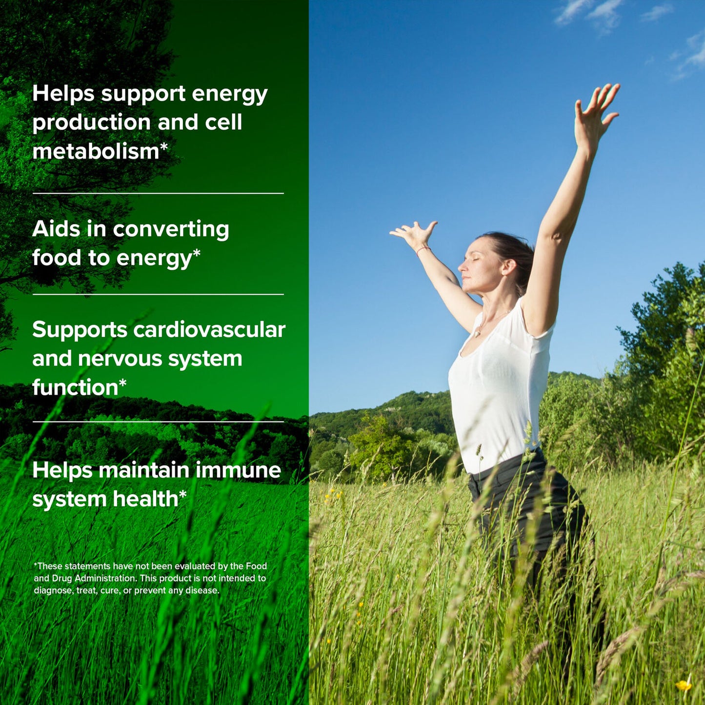 Vitamin B Complex Supplement with choline 120 Veg Capsules