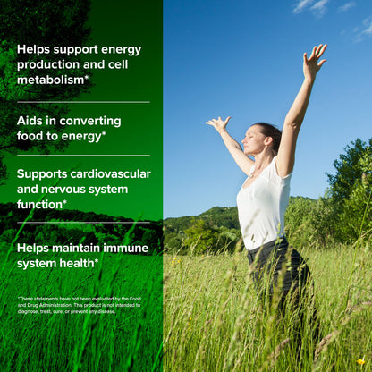 Vitamin B Complex Supplement with choline 120 Veg Capsules