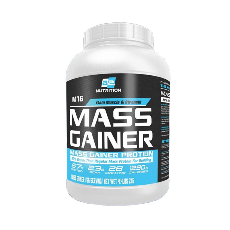 BS Nutrition Mass Gainer 2/5.4kg