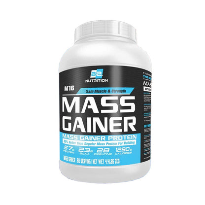 BS Nutrition Mass Gainer 2/5.4kg