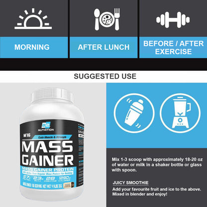 BS Nutrition Mass Gainer 2/5.4kg