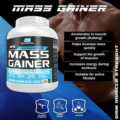 BS Nutrition Mass Gainer 2/5.4kg