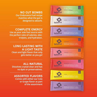 Tailwind Endurance Fuel Drink Mix 4 Sachets